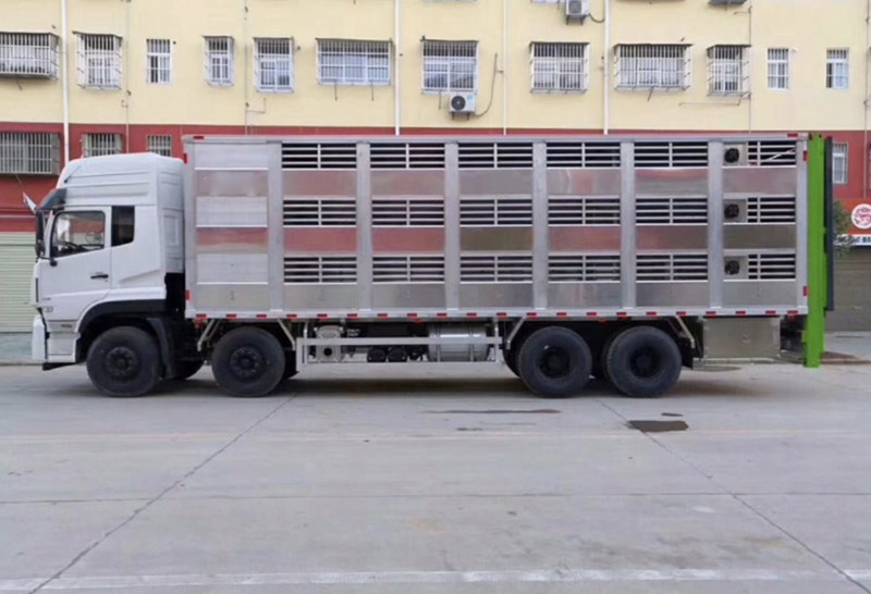 東風(fēng)天龍前四后八運豬車【熱銷】